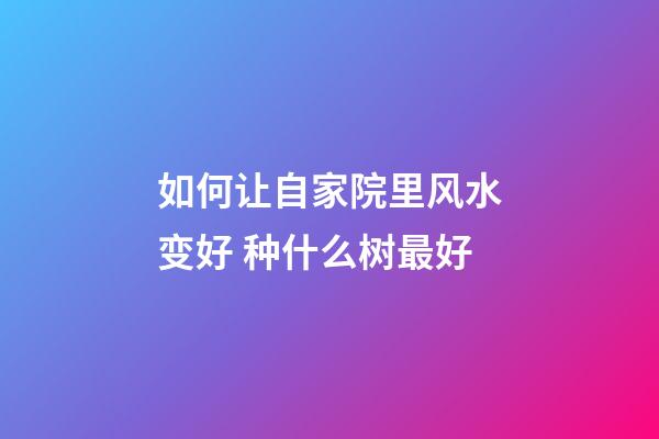 如何让自家院里风水变好 种什么树最好